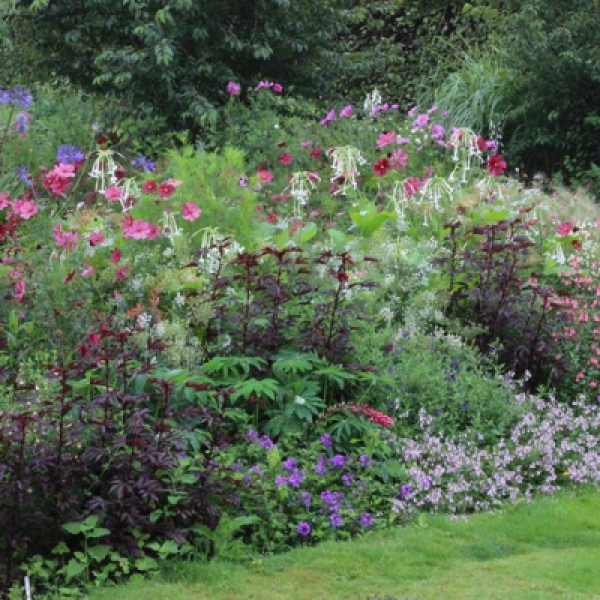 good price Flower Garden at White Flower Farm, CT.